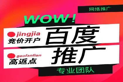 成功案例揭秘：百度竞价账户托管的运营之道