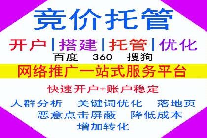 竞价广告投放技巧与案例分析